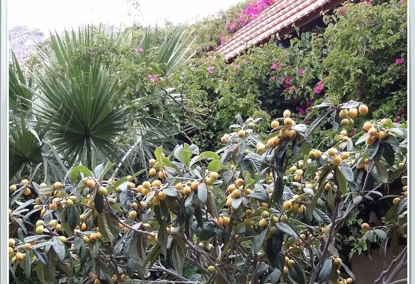 Stunning 2 Bedrooms Private Cottage In Palaiochora