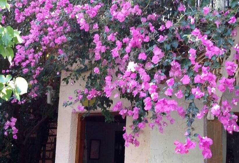 Stunning 2 Bedrooms Private Cottage In Palaiochora