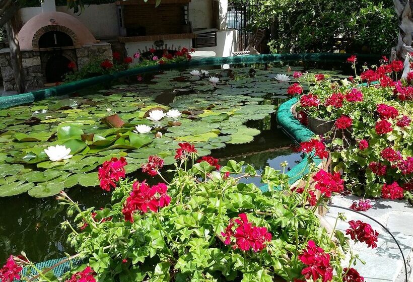 Stunning 2 Bedrooms Private Cottage In Palaiochora