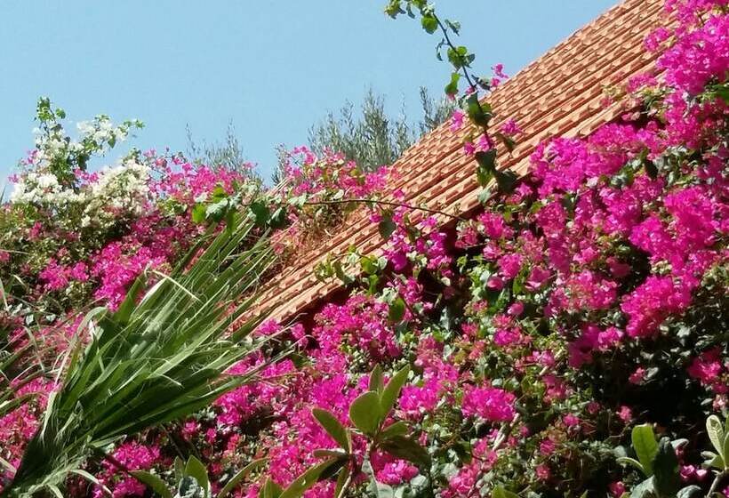 Stunning 2 Bedrooms Private Cottage In Palaiochora