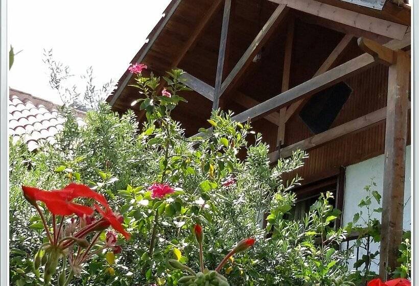 Stunning 2 Bedrooms Private Cottage In Palaiochora