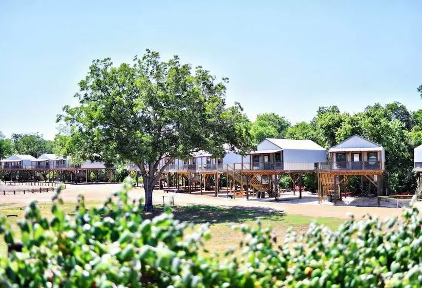 25 Son S Rio Cibolo   Birdhouse Cabin