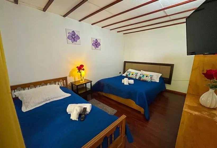 ユースホステル Hostal Mi Segundo Hogar