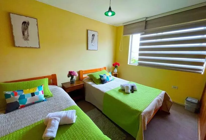 ユースホステル Hostal Mi Segundo Hogar