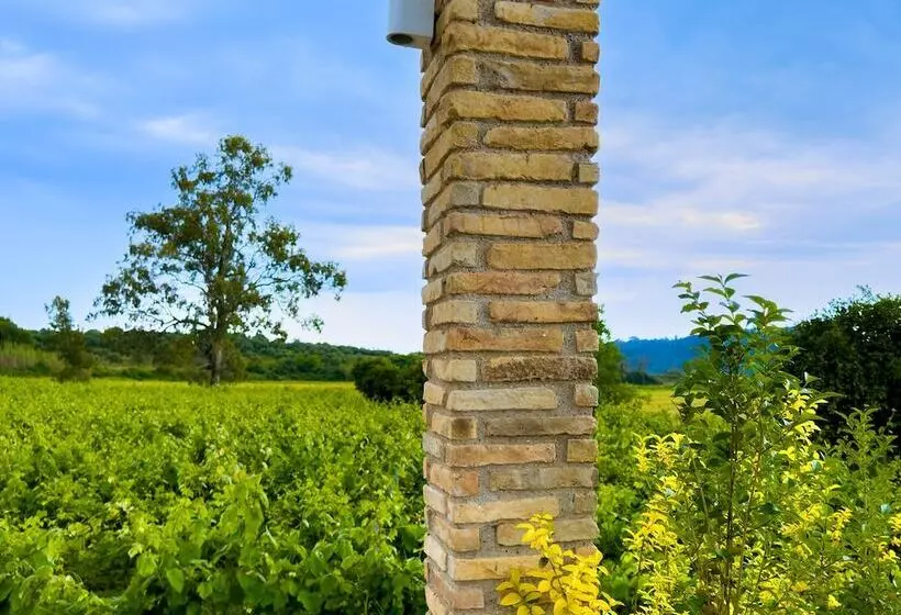 Atrium Vinea