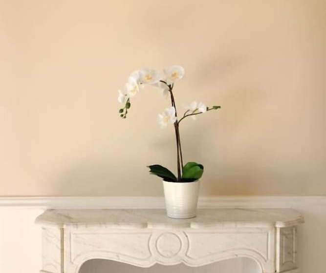 Bed and Breakfast Palazzo Excelsus