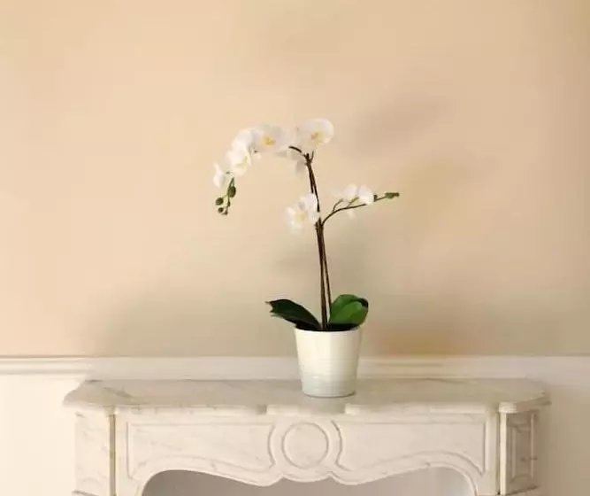 Aamiaismajoitus (B&B) Palazzo Excelsus