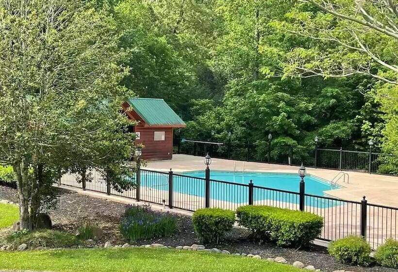 Picture Perfect #439