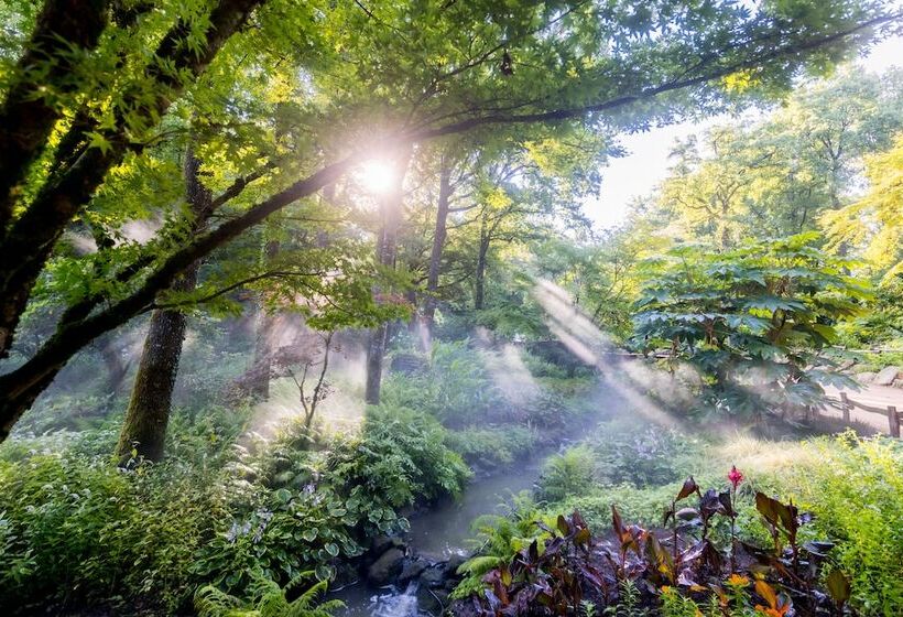 Puy Du Fou France   Hotel Les Iles De Clovis