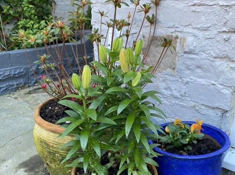 اقامتگاه Refurbished 3 Bed House In Manchester