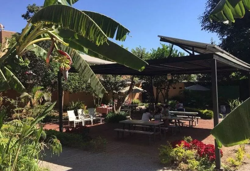 Tubohotel   Hostel