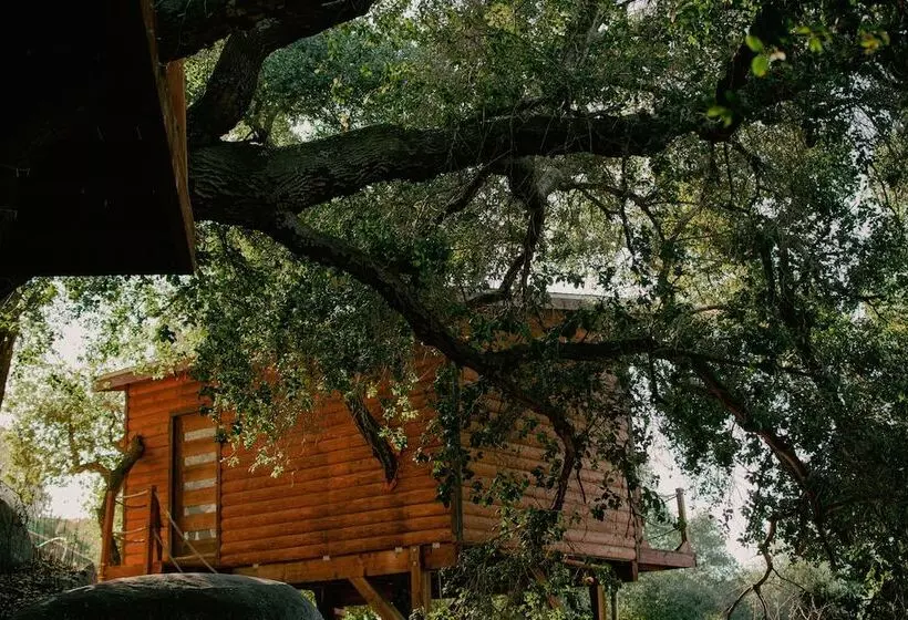 Boskenvid Hotel Boutique, Skypool