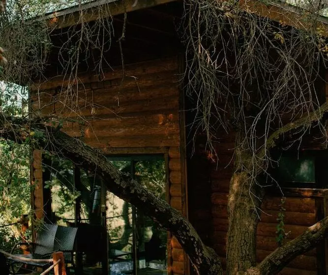 Boskenvid Hotel Boutique, Skypool