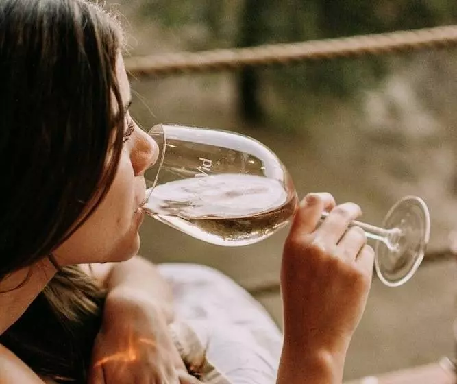 Boskenvid Hotel Boutique, Skypool