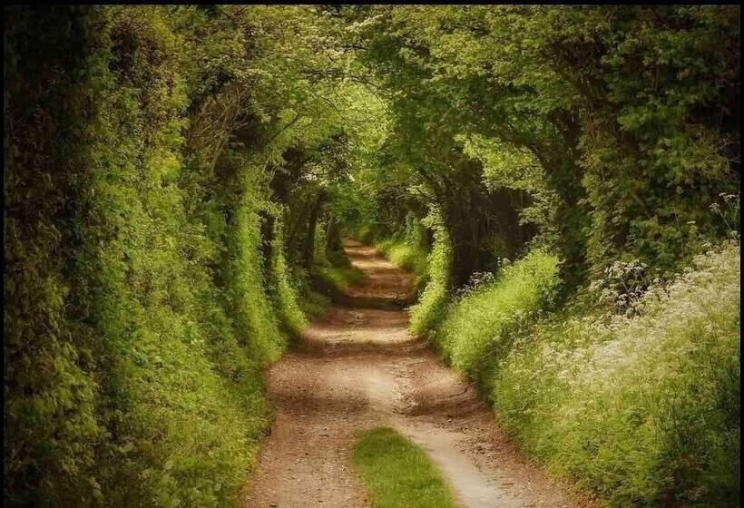 Cottage In Area Of Outstanding Natural Beauty