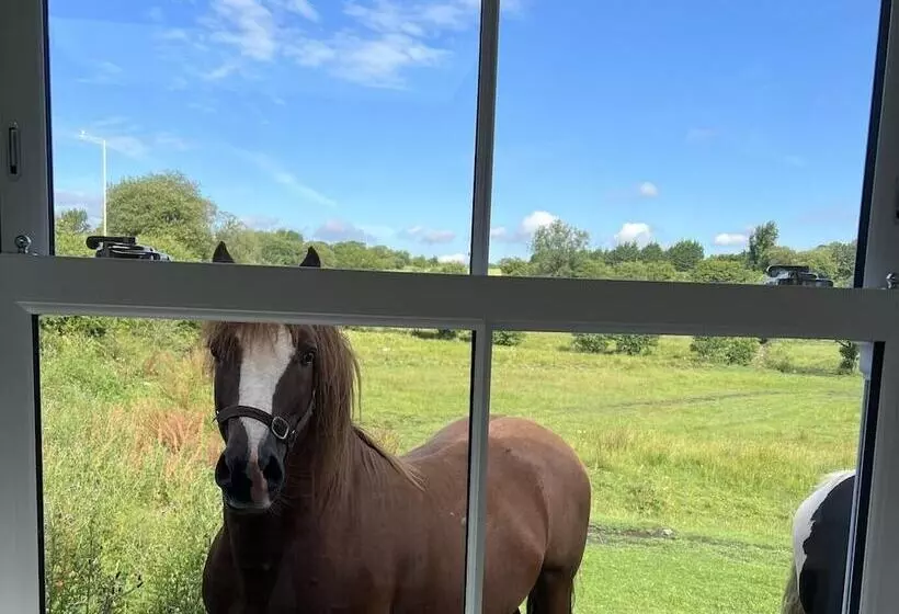 Gorgeous 2 Bed Cottage In Penderyn, Brecon Beacons
