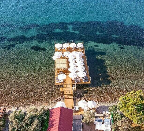 בית מלון כפרי Assosa