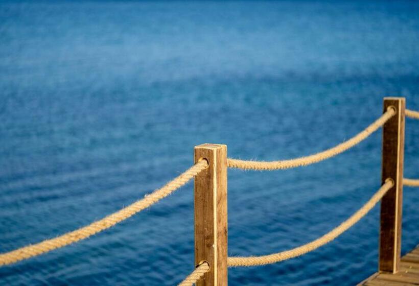 בית מלון כפרי Assosa