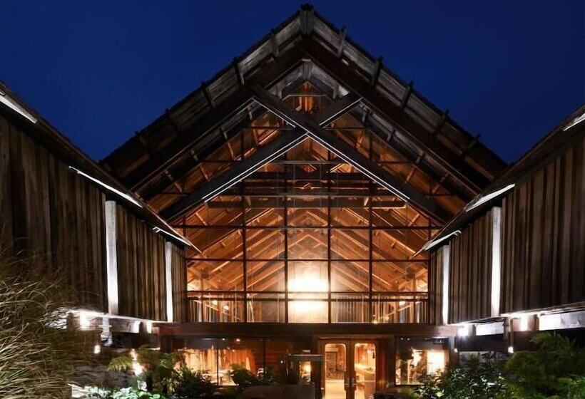 酒店 Timber Cove Resort