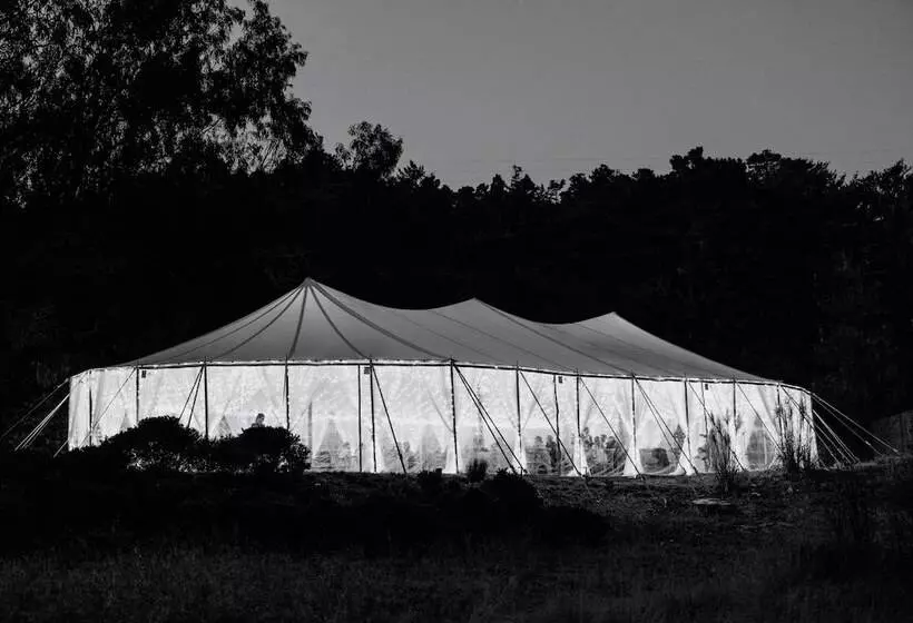 Hotelli Timber Cove Resort