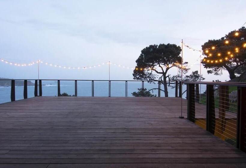 酒店 Timber Cove Resort