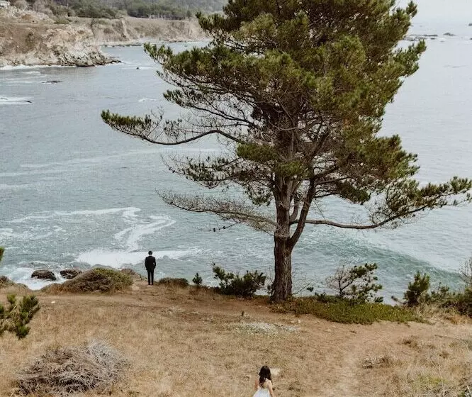 Hotelli Timber Cove Resort