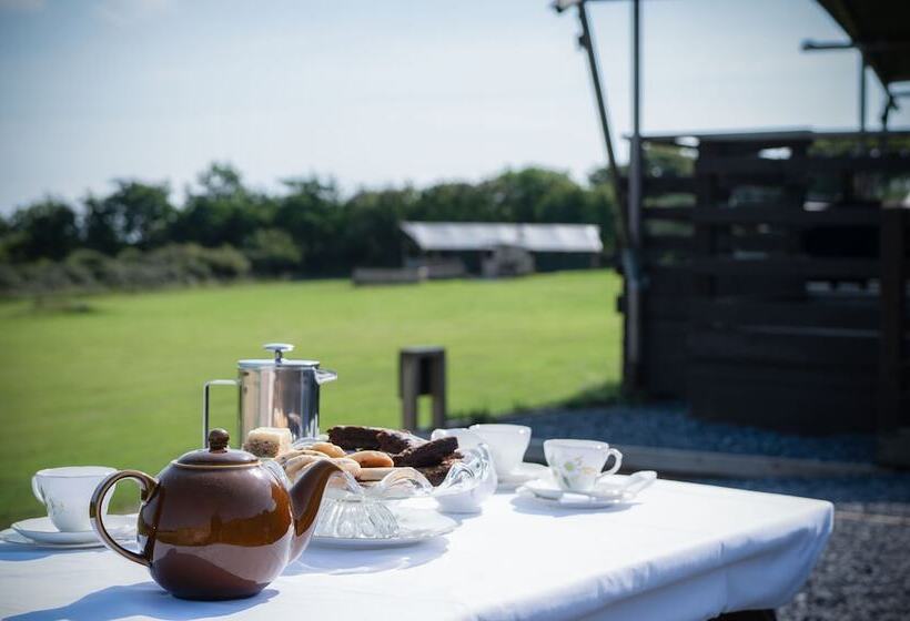 בית מלון כפרי Whiteford Glamping Tent   Llangennith