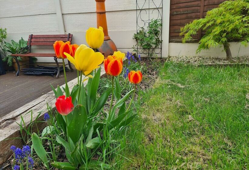 Rezydencja Lovely 2 Bed House In Bramley With Field View