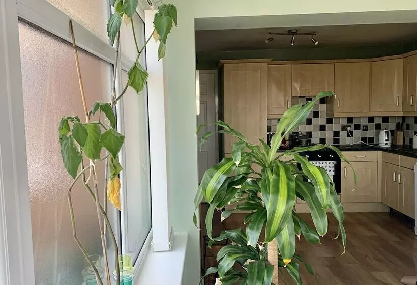 レジデンス Lovely 2 Bed House In Bramley With Field View
