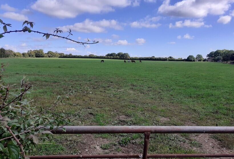 Glamping In Wiltshire The Green Knoll Is A Charm