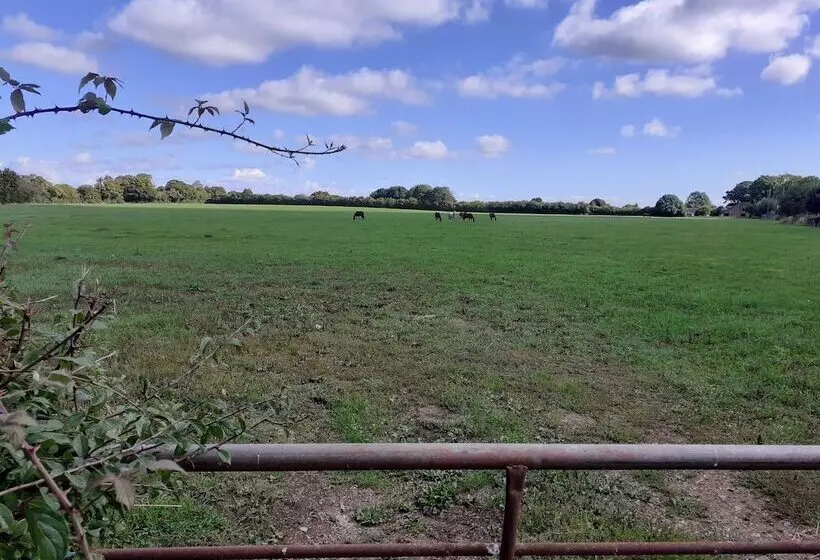 Glamping In Wiltshire The Green Knoll Is A Charm
