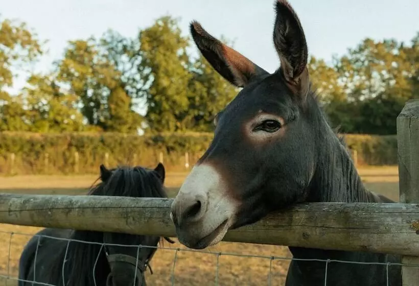 Glamping In Wiltshire The Green Knoll Is A Charm