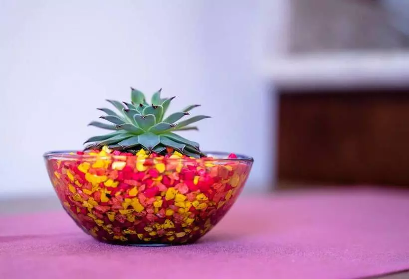 هتل Boutique Mardeka