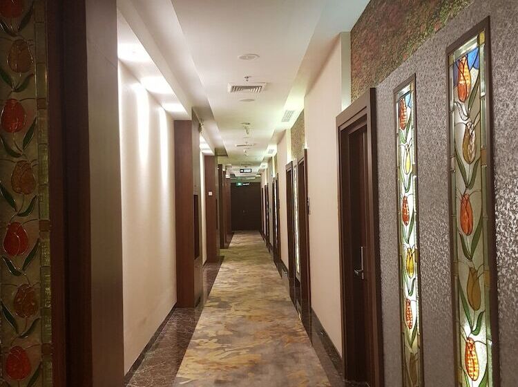 Selecta Hotel Medan