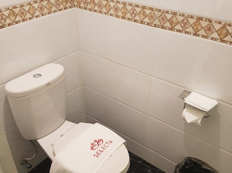 Selecta Hotel Medan