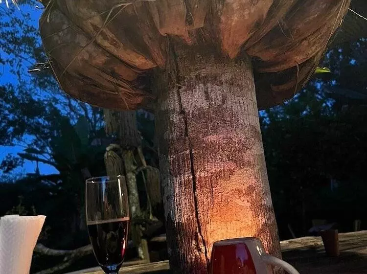 پانسیون Music In The Green Ranch