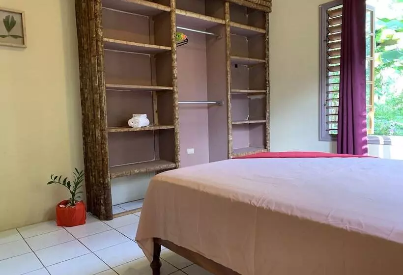 پانسیون Music In The Green Ranch