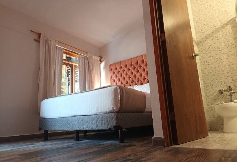 旅馆 Es Agave Cholula