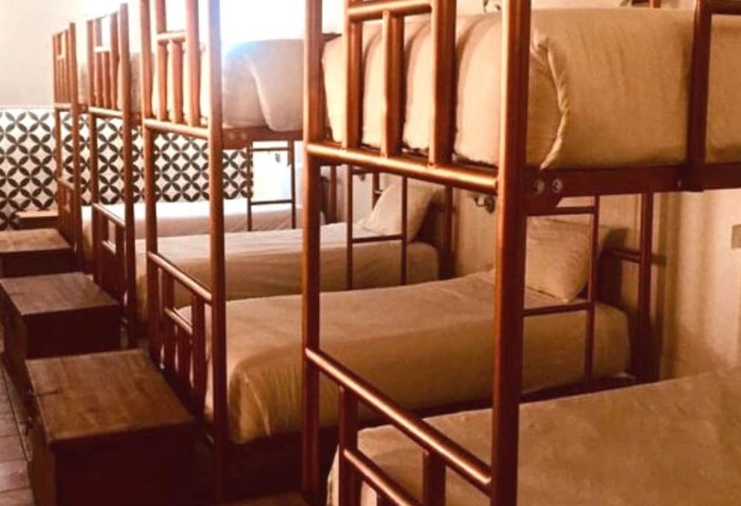 旅馆 Es Agave Cholula