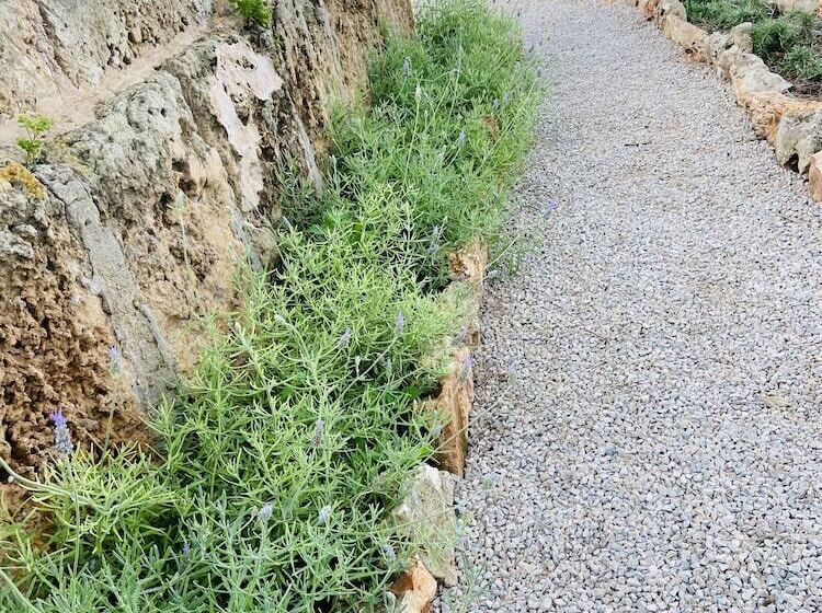 تختخواب و صبحانه Finca Sa Canova Agroturismo