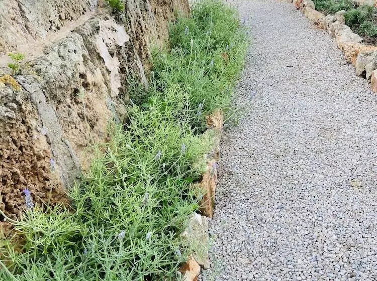 Aamiaismajoitus (B&B) Finca Sa Canova Agroturismo