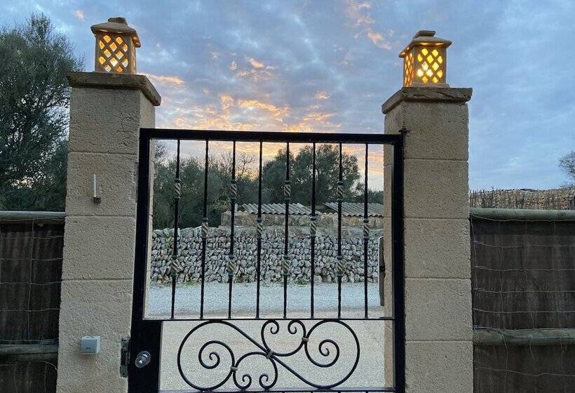 تختخواب و صبحانه Finca Sa Canova Agroturismo