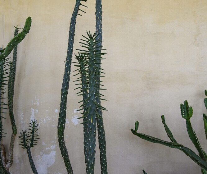 住宿加早餐  L Annunciata Soul Retreat