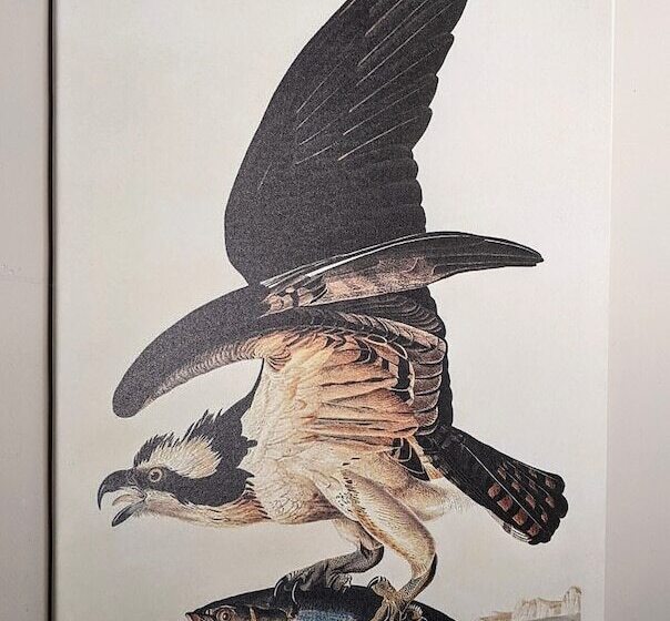 Bed and Breakfast The Boot Inn  Rutland