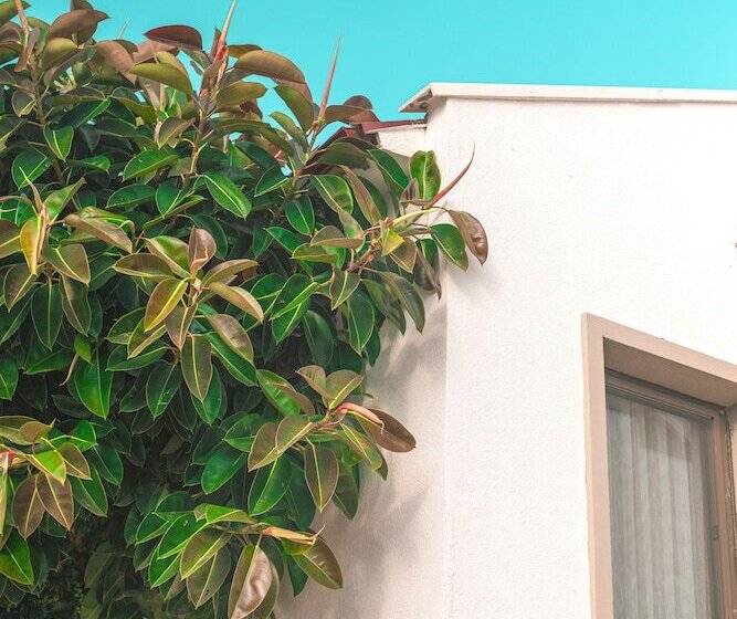 Feri Surf Hotel Datça