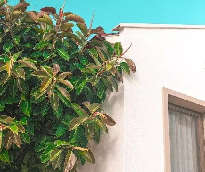 Feri Surf Hotel Datça