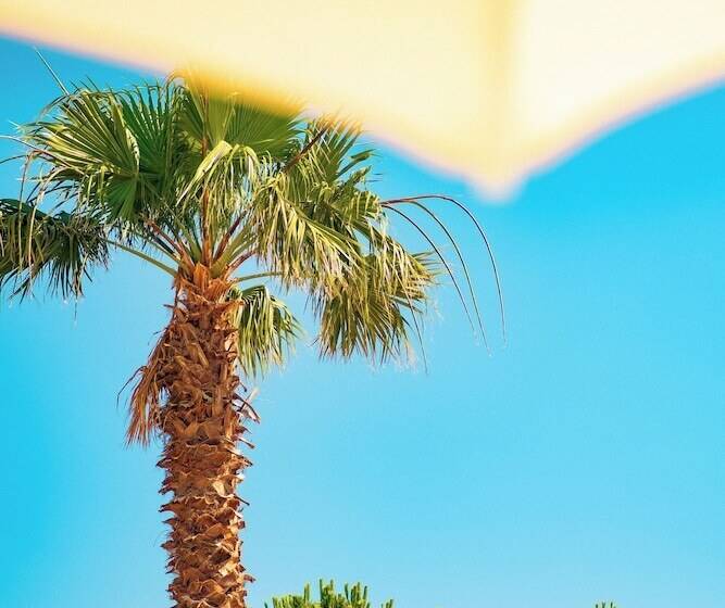 Feri Surf Hotel Datça