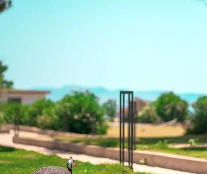 Feri Surf Hotel Datça