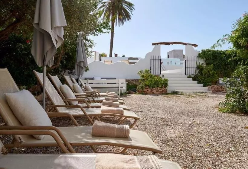 簡易ホテル Flamingo Ibiza