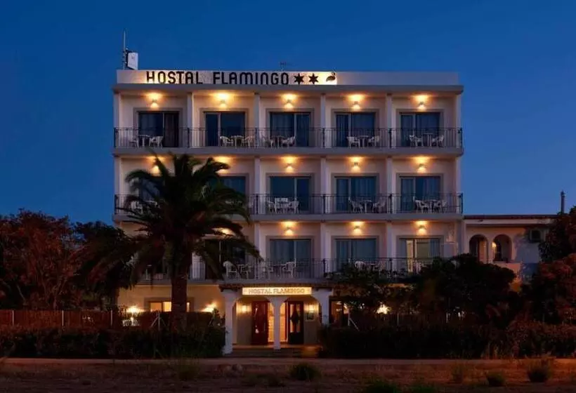 簡易ホテル Flamingo Ibiza